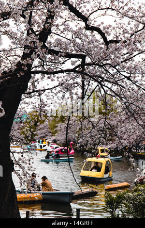 Kleiner See in Ueno Park mit Tretbooten in Tokio, Japan. Stockfoto