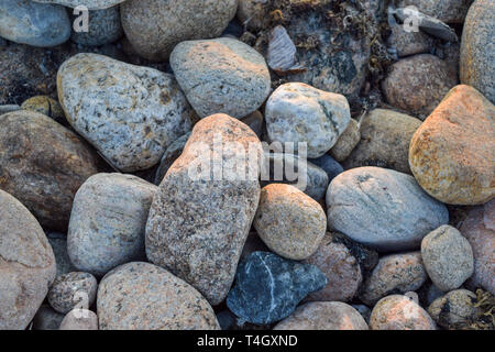 Mittlere Felsen, Steine und Kiesel in verschiedenen Farben und Formen Stockfoto