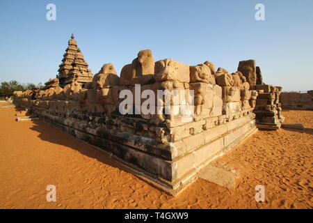 Shore Tempel Komplex in Mahabalipuram, Kanchipuram, Tamil Nadu, Indien Stockfoto