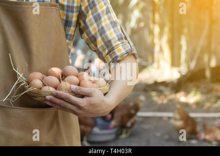 Junge Intelligenter Landwirt wear Plaid Shirt braun Schürze halten Frische Hühnereier in Warenkorb auf einer Hühnerfarm in ihm home Bereich Stockfoto