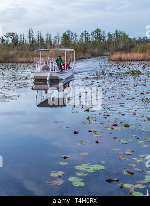 Okefenokee Swamp, Bucharest, GA, USA -3/29/19: ein Tourist skiff im Okefenokee Swamp. Stockfoto