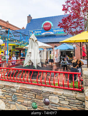 ASHEVILLE, NC, USA -4/11/19: Mellow Pilz Restaurant, am Broadway Avenue, in der Innenstadt. Bild vertikal. Stockfoto