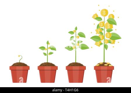 Wachsende geld Baum im Topf. Phasen des Wachstums. Gold Münzen auf den Ästen. Symbol für Reichtum. Den geschäftlichen Erfolg. Timeline. Flat Style Vector Illustration. Stock Vektor