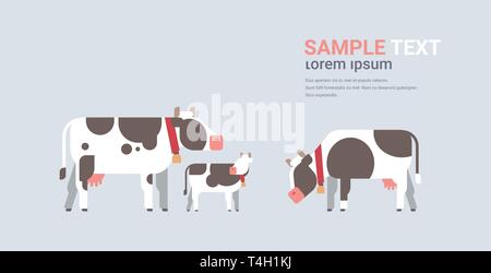 Cute cartoon Kühe Bauernhof Tiere weiden Rinderhaltung Konzept flachen grauen Hintergrund horizontal kopieren Raum Stock Vektor