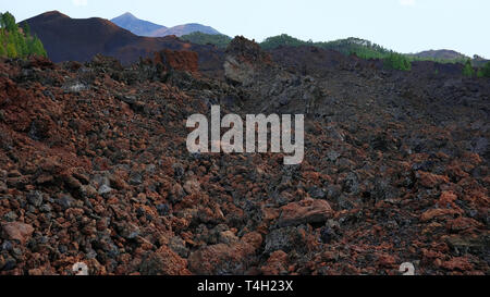 Vulkanische Boden von chinyero Spezielle Naturpark mit Pico del Teide im Hintergrund, eine Lava Gebiet mit wenig Vegetation in Teneriffa, Spanien Stockfoto