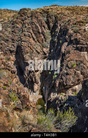 Wasser Pools von Cinco Tinajas, Chihuahuan Wüste, Big Bend Ranch State Park, Texas, USA Stockfoto