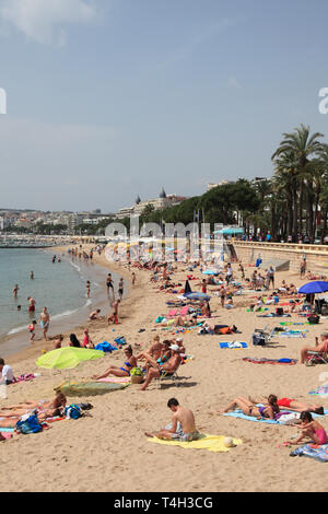 Öffentlicher Strand, La Croisette, Cannes, Cote d'Azur, Alpes Maritimes, Provence, Côte d'Azur, Frankreich, Europa Stockfoto