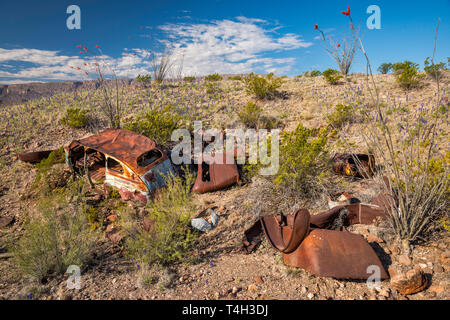 1940 s Auto Wrack in der Chihuahuan Wüste Grenzland aufgegeben, River Road, Big Bend National Park, Texas, USA Stockfoto