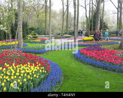 Bunter Bettwäsche zeigt der Tulpen & andere Frühling Birnen sind ein Merkmal der jährlichen Garden Festival im Keukenhof, Niederlande; April 2019 Stockfoto