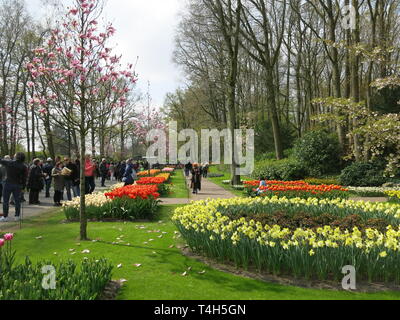 Bunter Bettwäsche zeigt der Tulpen & andere Frühling Birnen sind ein Merkmal der jährlichen Garden Festival im Keukenhof, Niederlande; April 2019 Stockfoto