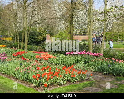 Bunter Bettwäsche zeigt der Tulpen & andere Frühling Birnen sind ein Merkmal der jährlichen Garden Festival im Keukenhof, Niederlande; April 2019 Stockfoto