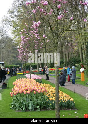 Bunter Bettwäsche zeigt der Tulpen & andere Frühling Birnen sind ein Merkmal der jährlichen Garden Festival im Keukenhof, Niederlande; April 2019 Stockfoto