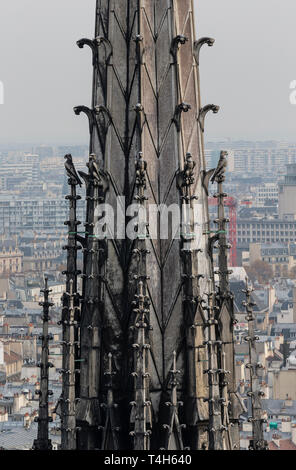 Notre Dame Cathedral Stockfoto