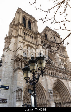 Notre Dame Cathedral Stockfoto