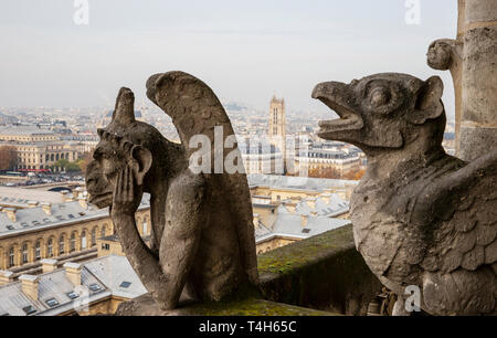 Notre Dame Cathedral Stockfoto