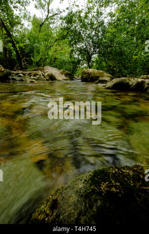 Barton Creek Greenbelt, in der Nähe von Austin, Texas Stockfoto