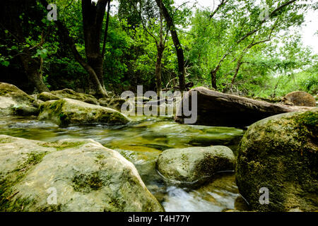 Barton Creek Greenbelt, in der Nähe von Austin, Texas Stockfoto