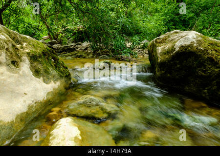 Barton Creek Greenbelt, in der Nähe von Austin, Texas Stockfoto