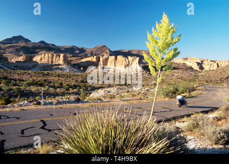 Arizona, AZ, Südwesten, Westen, Grand Canyon State, Mojave County, Sitgreaves Pass, Highway Route 66, historischer Cross Country Highway, legendär, Motorrad, Transportmittel Stockfoto