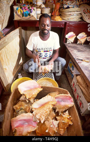 Bahamas, Bahama-Inseln, Atlantischer Ozean, Wasser, Westindien, New Providence, Nassau, Strohmarkt, Marktplatz, Erwachsener, Erwachsene, Mann, Männer, Junge, Kinder, Kinder Stockfoto