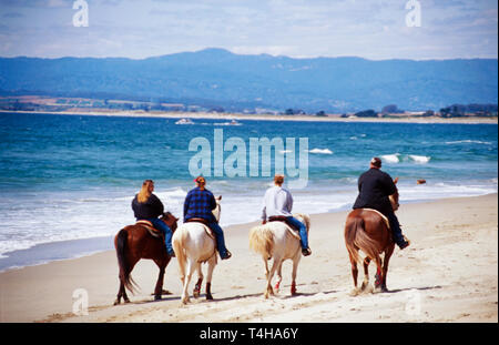 Monterey California, County Moss Landing Salinas River Water State Park, öffentliches Land, Erholung, Natur, Natur, Natur, Natur, Landschaft, Landschaft, landschaftlich, landschaftlich Stockfoto