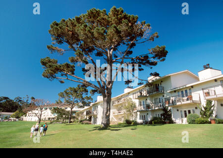 Monterey California, Peninsula Carmel Bay die Lodge in Pebble Beach, Sand, Surf, Resort, Unterkunft, Urlaub, Monterey Pine CA095, CA095 Stockfoto