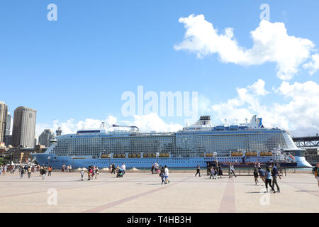 Ovation der Meere Kreuzfahrt Schiff angedockt an der Overseas Passenger Terminal in Sydney, Australien Stockfoto