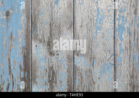 Texturierte Sonne verblichen Holztür Nahaufnahme blau lackiert Stockfoto