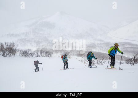 Gruppe von vier Tourengängern wandern bergauf in Hokkaido. Die Gruppe ist Skifahren Tiefschnee im Hinterland in der Nähe von Niseko, Japan in einem Schneesturm. Stockfoto