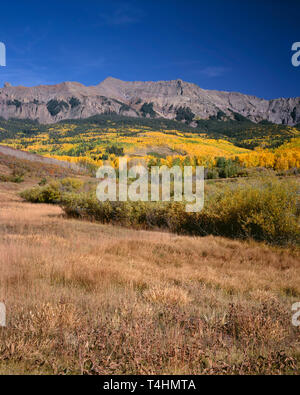 USA, Colorado, Uncompahgre National Forest, der sneffels Reichweite und gemischte Aspen Nadelwald im Herbst. Stockfoto