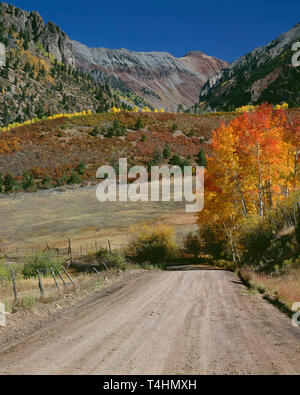 USA, Colorado, Uncompahgre National Forest, Falllaub und Country Road unter Ruffner Mountain in der sneffels Bereich. Stockfoto