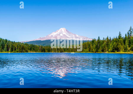 Landschaft des malerischen Trillium See von Wald mit Blick auf Mount Hood und die Reflexion der schneebedeckten Berg in das klare Wasser des Umgeben Stockfoto