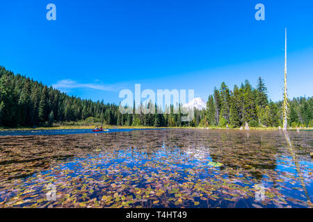 Landschaft der Trillium See von Wald mit Blick auf Mount Hood und die Reflexion der schneebedeckten Berg in das klare Wasser des Sees umgeben abgedeckt Stockfoto