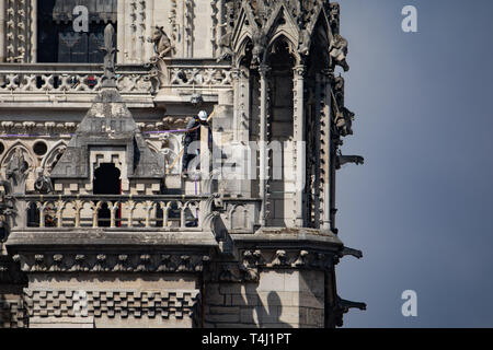 Paris, Frankreich. 17. Apr 2019. Ein Arbeiter prüft die Fassade der Kathedrale von Notre-Dame in Paris. Das Feuer am Montag (15.04.2019) hatte die Kathedrale - ein wichtiges Wahrzeichen der französischen Hauptstadt und ein touristischer Magnet für Millionen von Menschen jedes Jahr besucht zerstört. Zur gleichen Zeit, das Feuer löste eine Welle der Hilfsbereitschaft. Foto: Marcel Kusch/dpa Quelle: dpa Picture alliance/Alamy leben Nachrichten Stockfoto