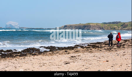 North Berwick, East Lothian, Schottland, Vereinigtes Königreich, 17. April 2019. UK Wetter: Starker Wind in den letzten Tagen erstellt einen Wellengang im Meer her, die mit Wellen entlang der Küste bei Milsey Bay. Der Dunst reduziert die Sichtbarkeit aber der Bass Rock sehen kann Weiß mit nistende Basstölpel, die größte Northern gannet Kolonie. Ein paar Gehminuten am Strand Stockfoto