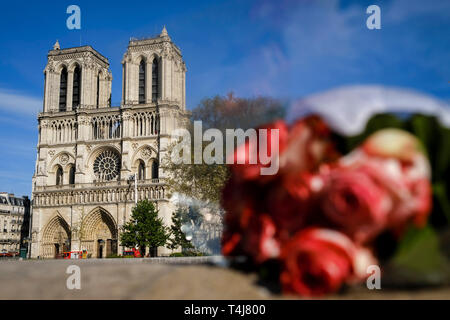 Paris, Frankreich. 17 Apr, 2019. Ein Blumenstrauß vor der Kathedrale Notre Dame in Paris, Frankreich, am 17. April 2019 gesehen. Frankreich wird ein internationaler Wettbewerb zu re-design der Turm der Kathedrale Notre Dame, die in einem verheerenden Feuer Montag abend zusammengebrochen, der französische Premierminister Edouard Philippe am Mittwoch verkündete starten. Credit: Alexandre Karmen/Xinhua/Alamy leben Nachrichten Stockfoto