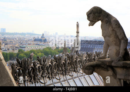 Dach Details von Notre Dame de Paris, Frankreich Stockfoto