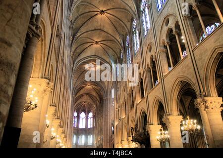 Notre Dame de Paris Kirchenschiff, Frankreich Stockfoto