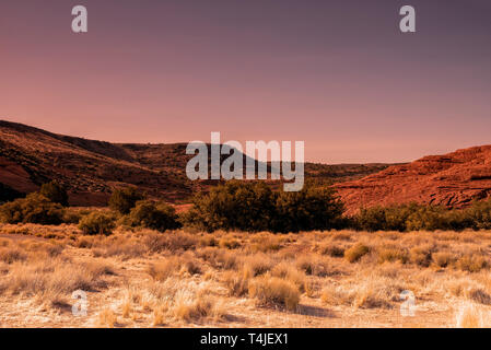 Tote wüste Büsche, tief rot felsigen Hügeln unter einer leichten violetten Himmel. Stockfoto