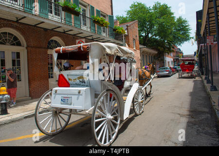 Reiten und Kutschfahrten auf Chartres Street zwischen Dumaine Street und St. Ann Street im French Quarter in New Orleans, Louisiana, USA. Stockfoto