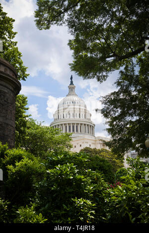 Das United States Capitol Building, Washington DC, USA. Stockfoto