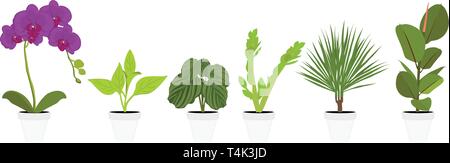 Verschiedene Topfpflanzen Zimmerpflanzen. Garten Topfpflanzen. Vektor Topfpflanzen. Blumentopf bloom Stock Vektor