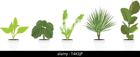 Verschiedene Topfpflanzen Zimmerpflanzen. Garten Topfpflanzen. Vektor Topfpflanzen. Blumentopf bloom Stock Vektor