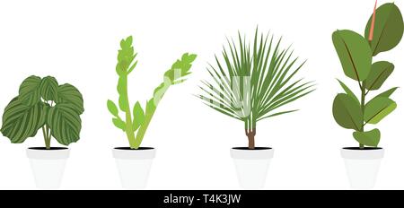 Verschiedene Topfpflanzen Zimmerpflanzen. Garten Topfpflanzen. Vektor Topfpflanzen. Blumentopf bloom Stock Vektor