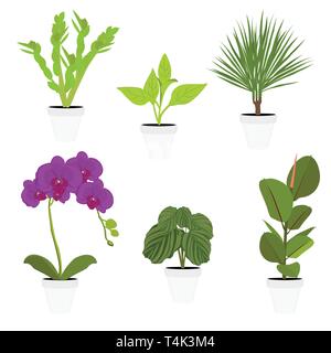 Verschiedene Topfpflanzen Zimmerpflanzen. Garten Topfpflanzen. Vektor Topfpflanzen. Blumentopf bloom Stock Vektor