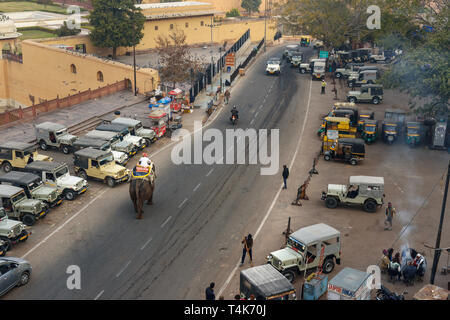 Amber Dorf, Indien - Januar 31, 2019: Elefant auf der Straße in der Nähe von Amber Fort. Jaipur. Rajasthan Stockfoto