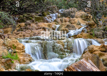 Kleine Kaskaden der Wasserfälle auf einem Bergbach im Frühjahr. Parod River. Israel. Landschaft Stockfoto