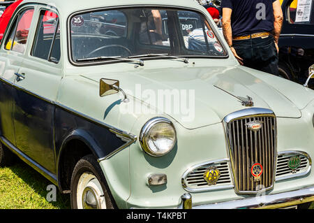 Eine 1950er Wolsely 1500 auf der Auto Show Stockfoto