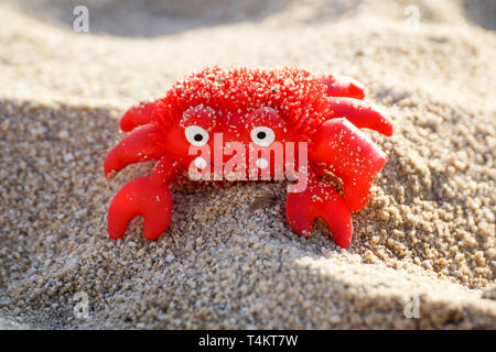 Bunte rote Krabben Spielzeug am Strand Stockfoto