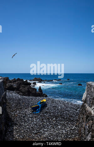 Alten hölzernen Ruderboot auf einem steinigen Strand in einer Bucht bei Fonsalia, mit Möwen fliegen Overhead, Playa San Juan, Teneriffa, Kanarische Inseln, Spanien Stockfoto